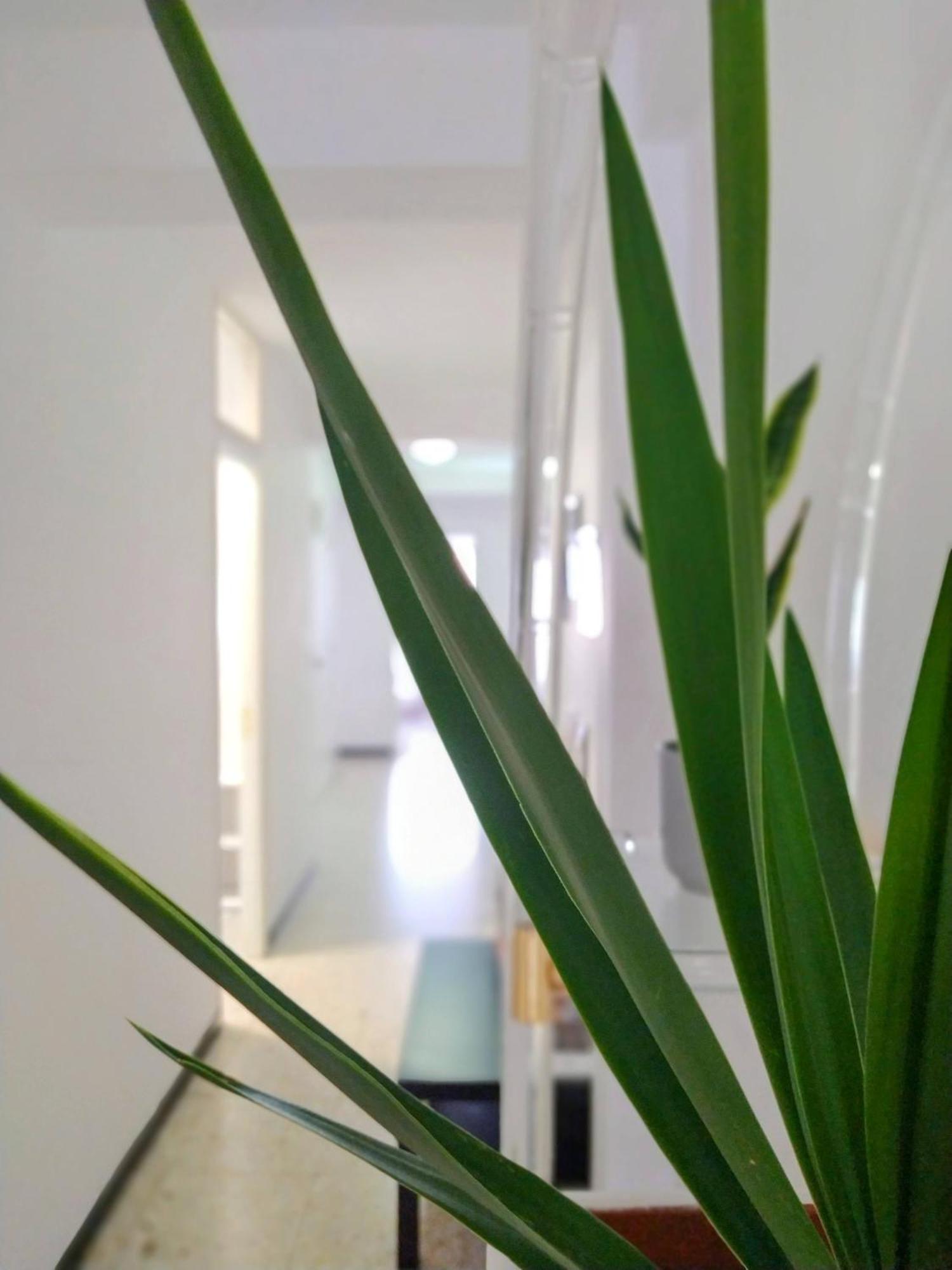 Caldas Centro Apartment *