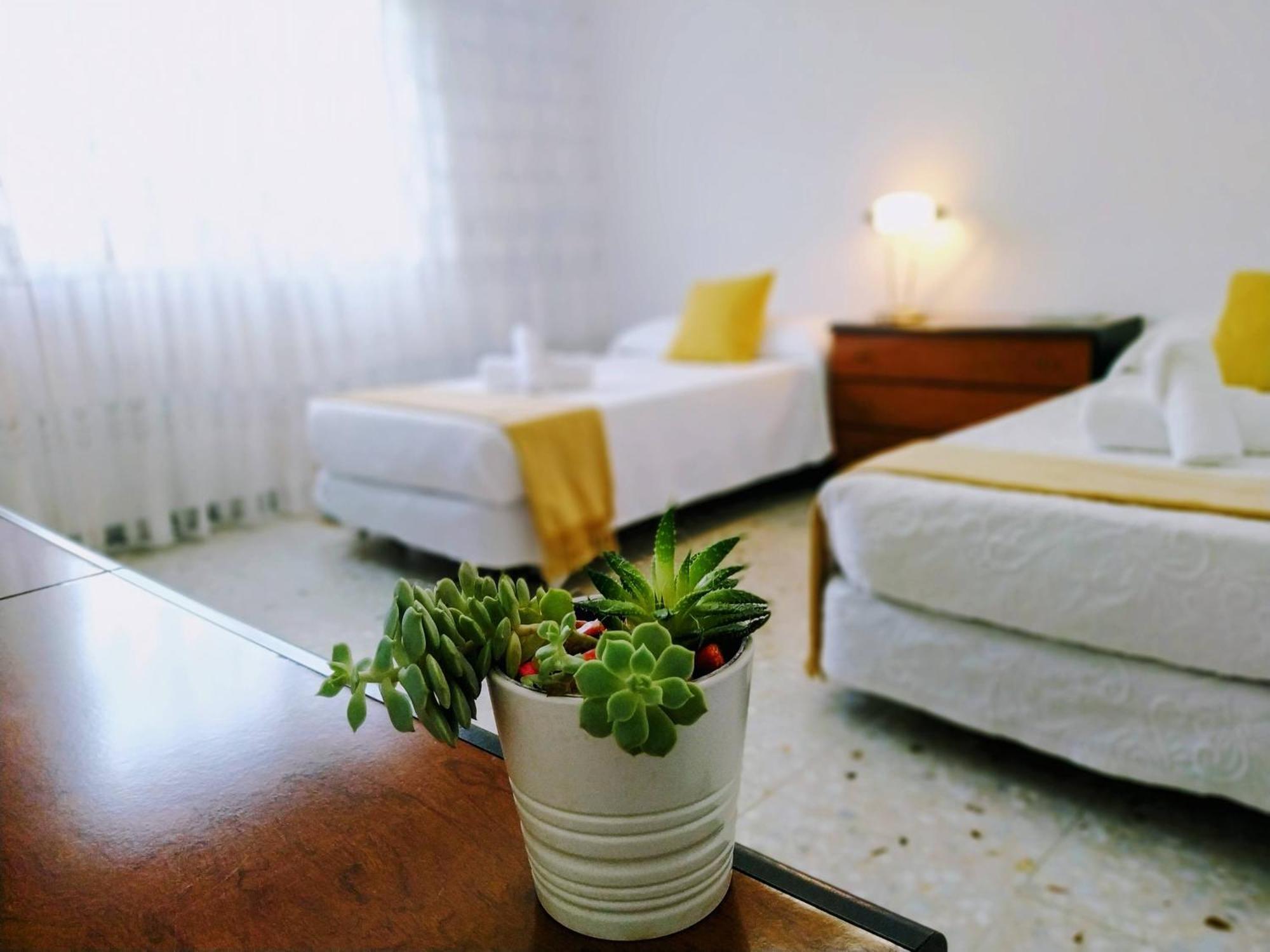 Apartment Caldas Centro *
